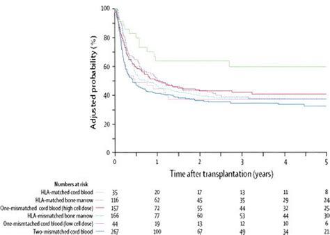 survival rate for aml|aml bone marrow transplant survival.